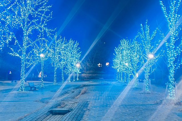 みずいろ公園 遊歩道イルミネーション